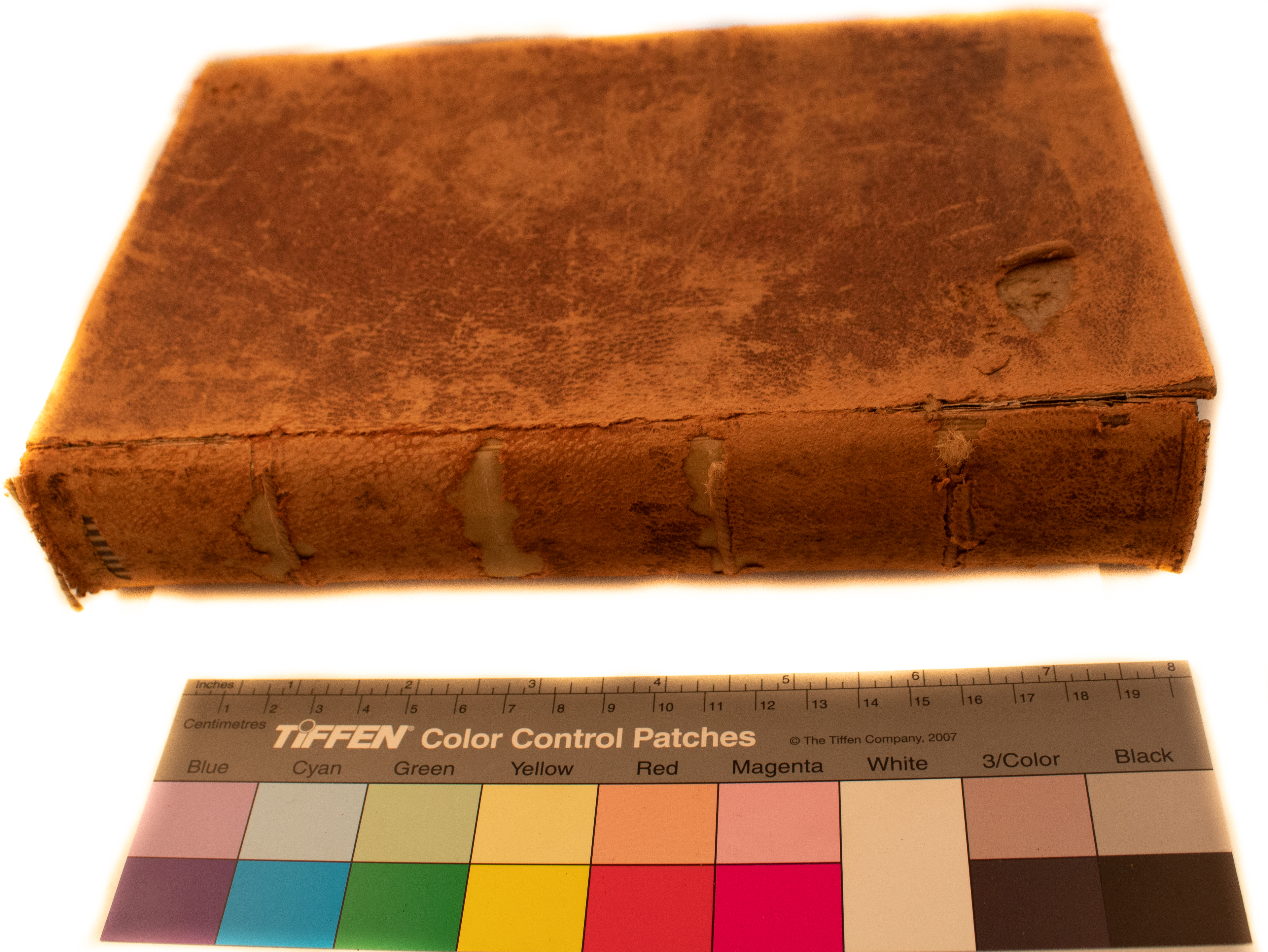 Little Lord Fauntelroy