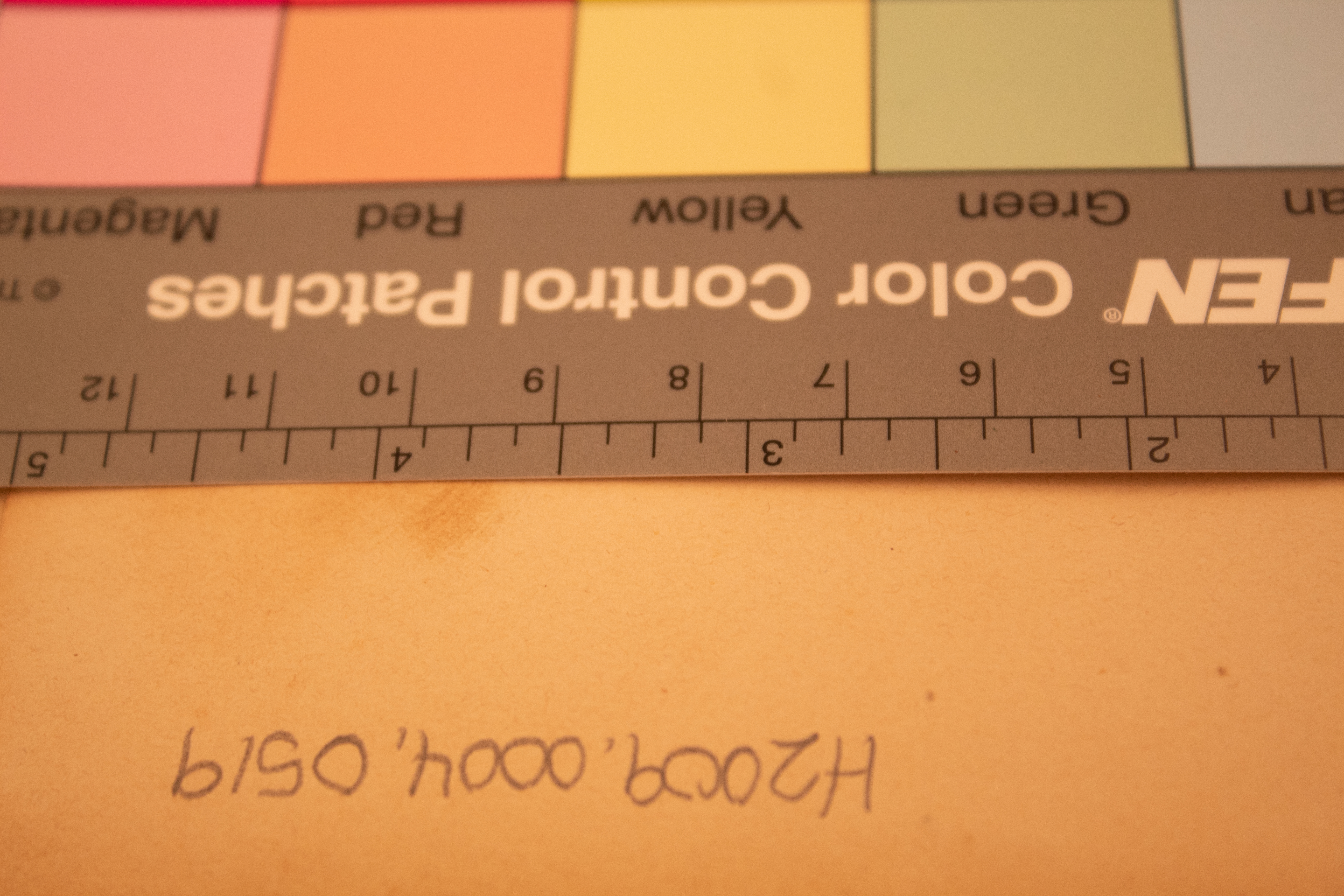 The Albert Nyanza, Great Basin of the Nile and Explorations of the Nile Sources