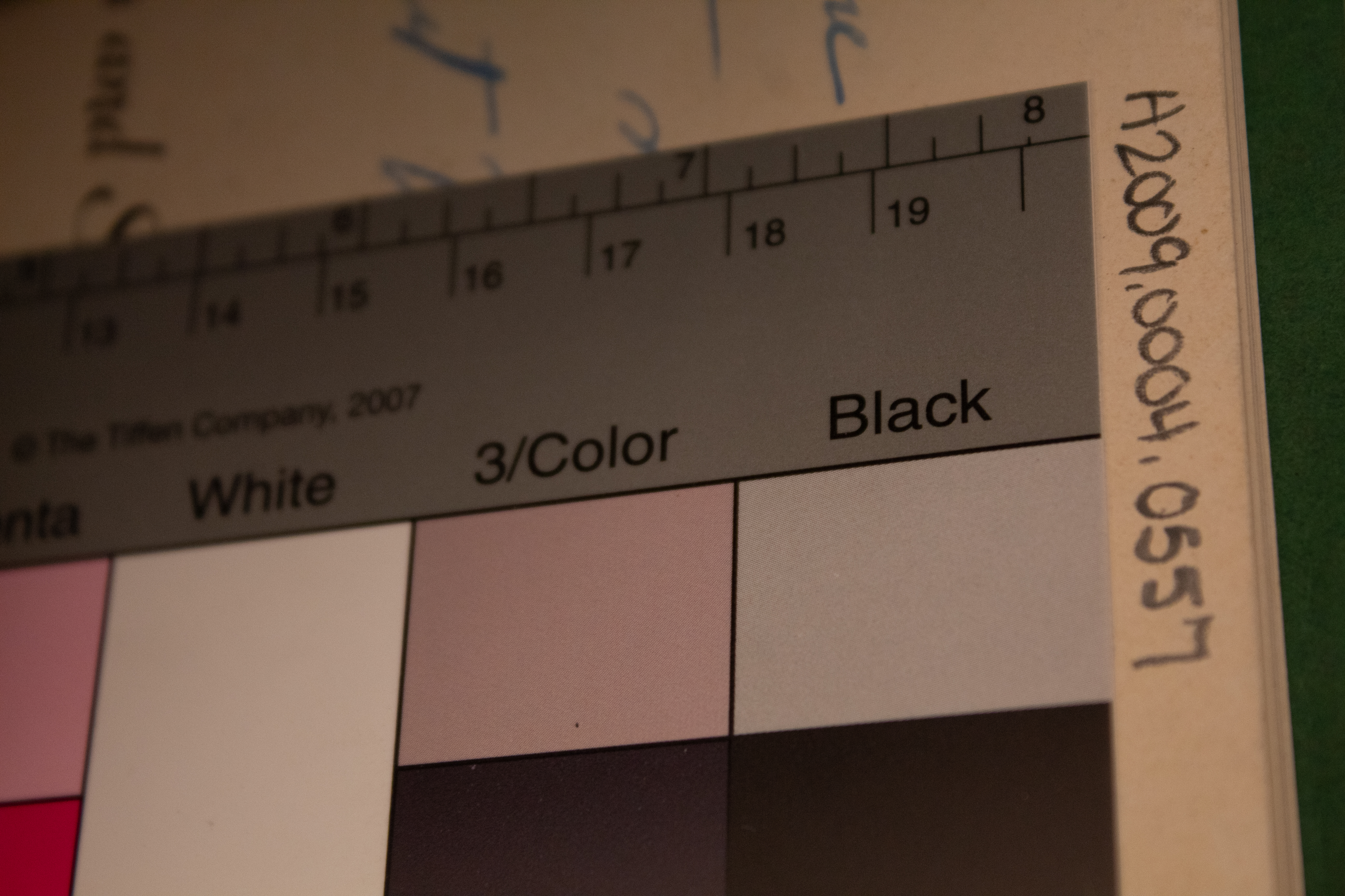 Songs and Stories from Magnolia Grove