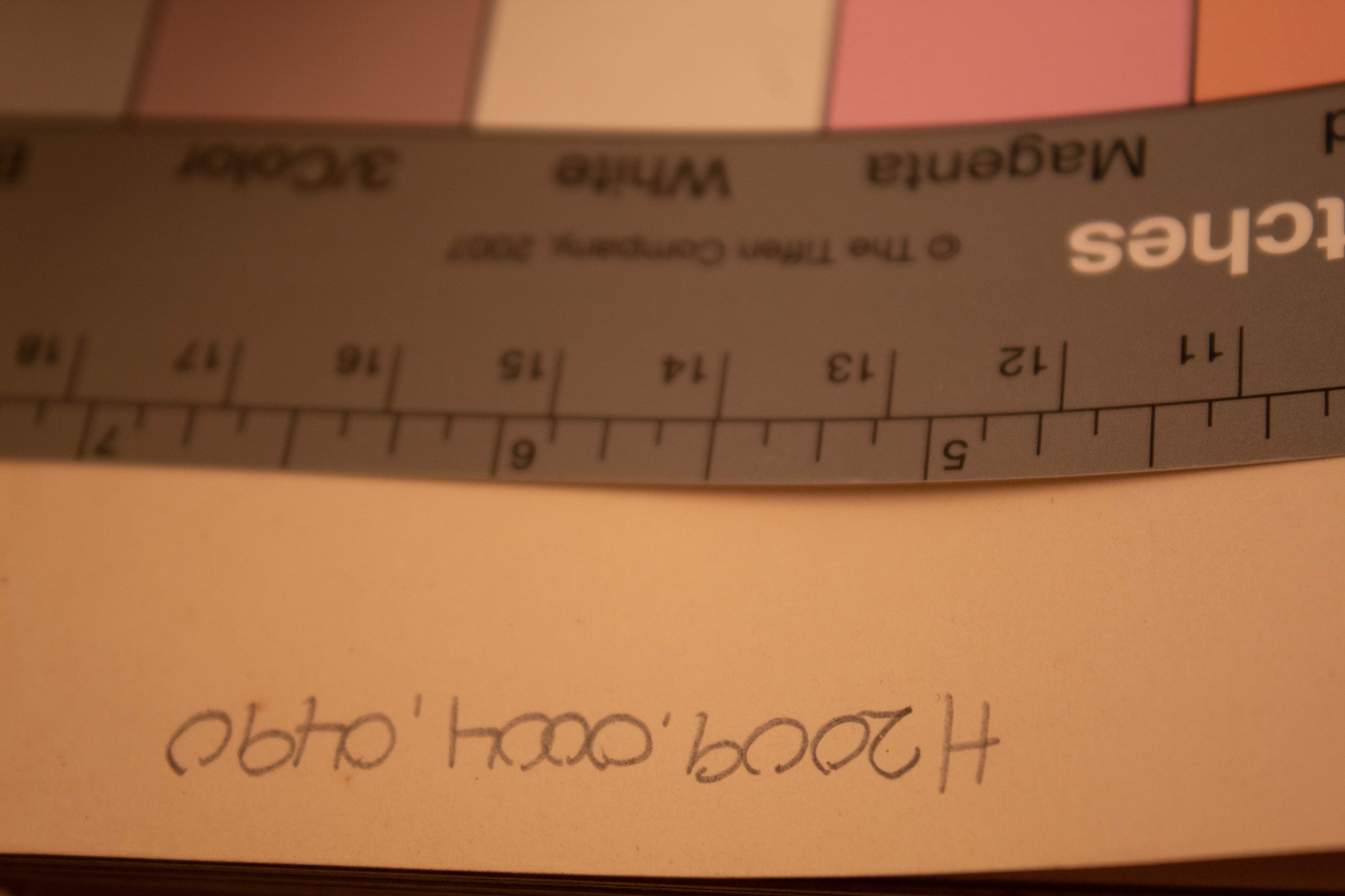 A Kentucky Cardinal and Aftermath