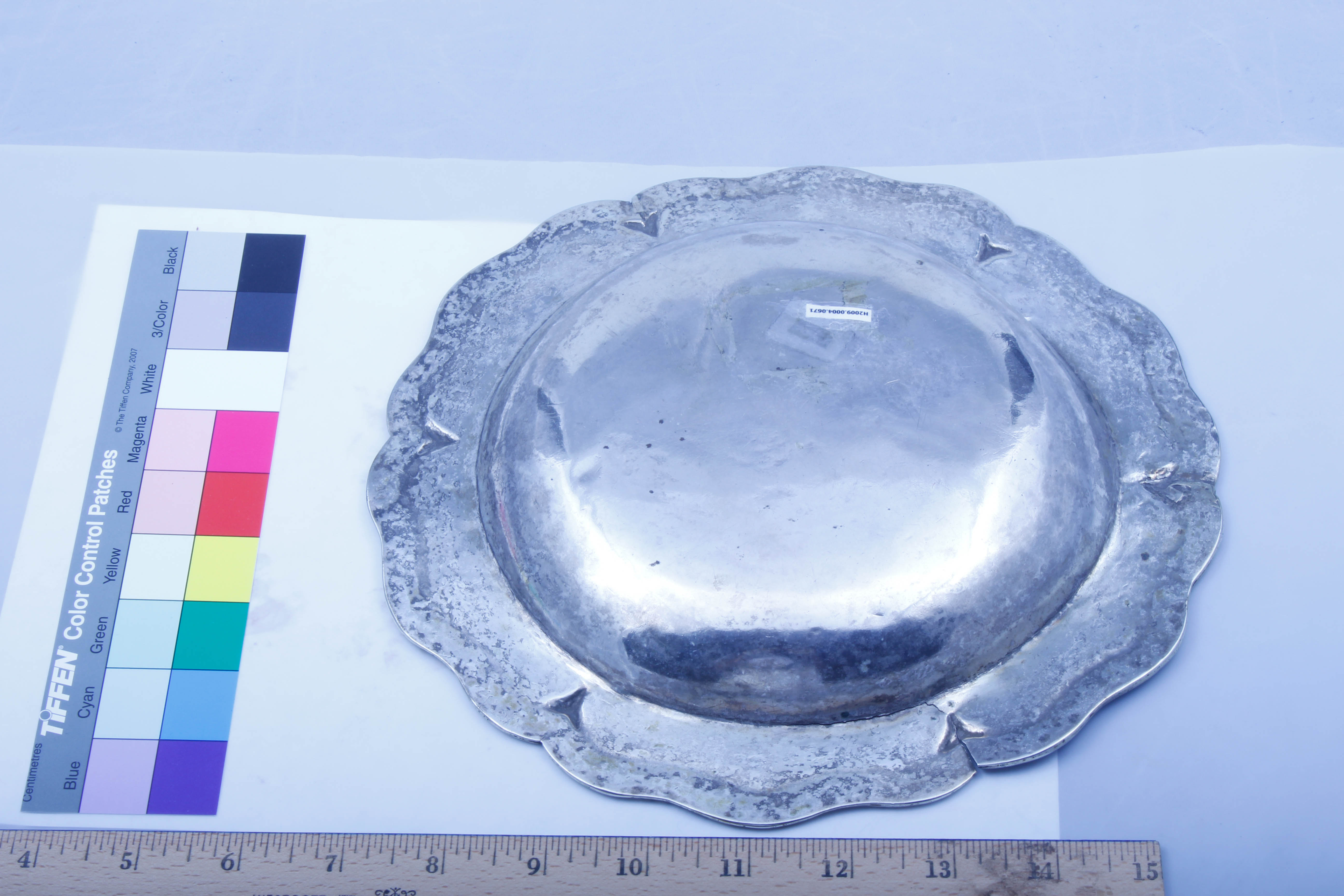 Food Plate