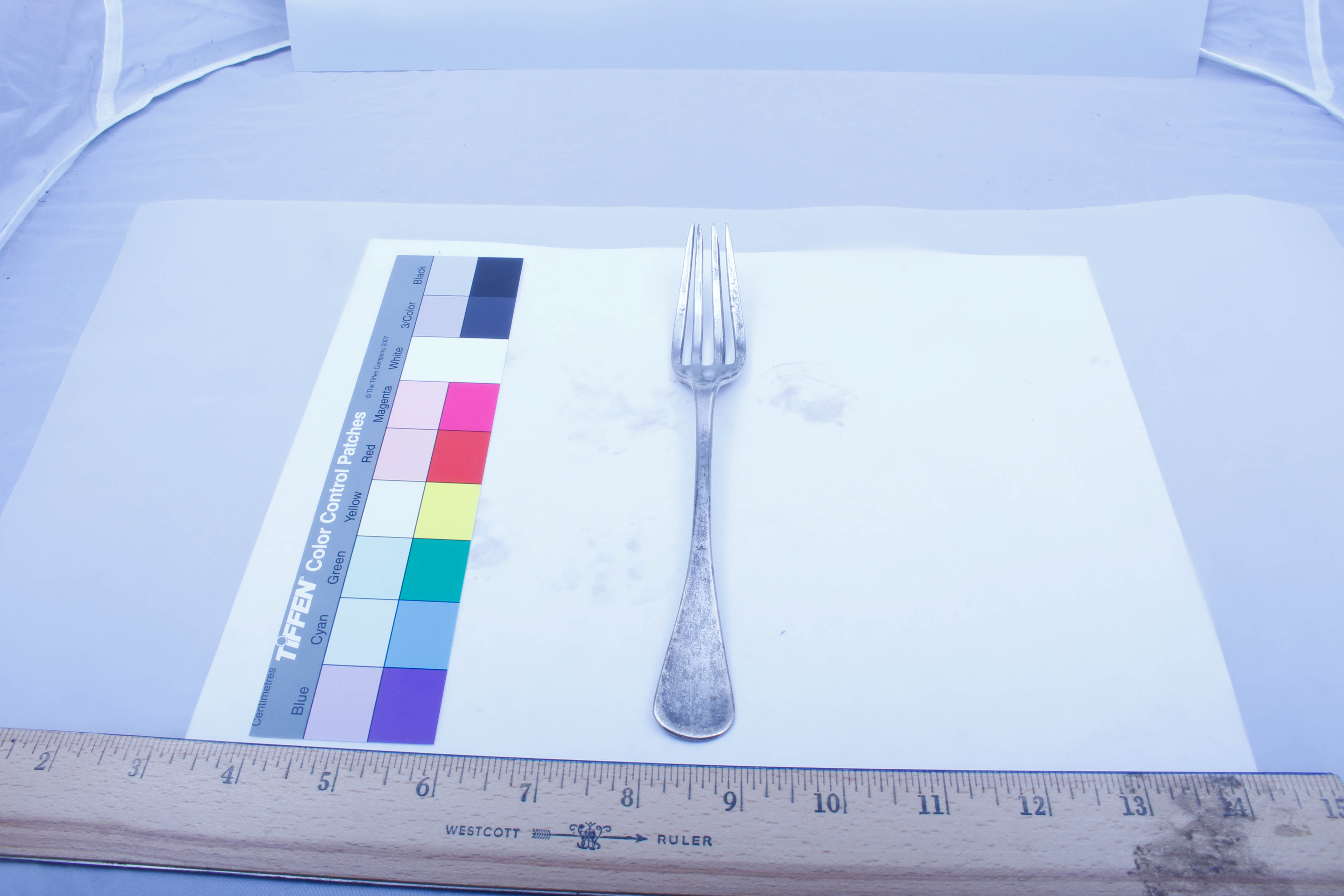 Eating Fork
