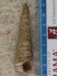 Specimen thumbnail