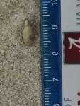 Record thumbnail