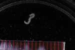 Record thumbnail