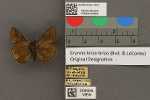 Specimen thumbnail