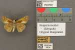 Specimen thumbnail