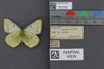 Specimen thumbnail