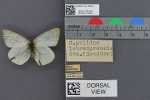 Specimen thumbnail