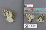 Record thumbnail