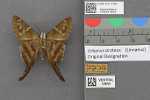 Record thumbnail