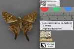 Record thumbnail