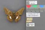 Record thumbnail
