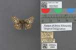 Specimen thumbnail