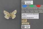 Record thumbnail