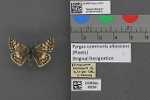 Record thumbnail