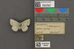 Specimen thumbnail
