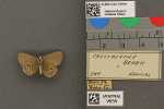 Specimen thumbnail