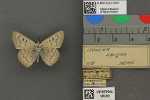 Record thumbnail