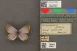 Record thumbnail