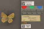 Record thumbnail