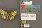 Specimen thumbnail