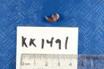 Specimen thumbnail