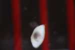 Record thumbnail