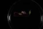 Record thumbnail