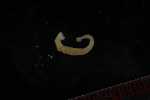 Record thumbnail