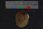 Record thumbnail