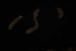 Record thumbnail