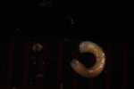Record thumbnail