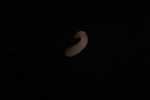 Record thumbnail