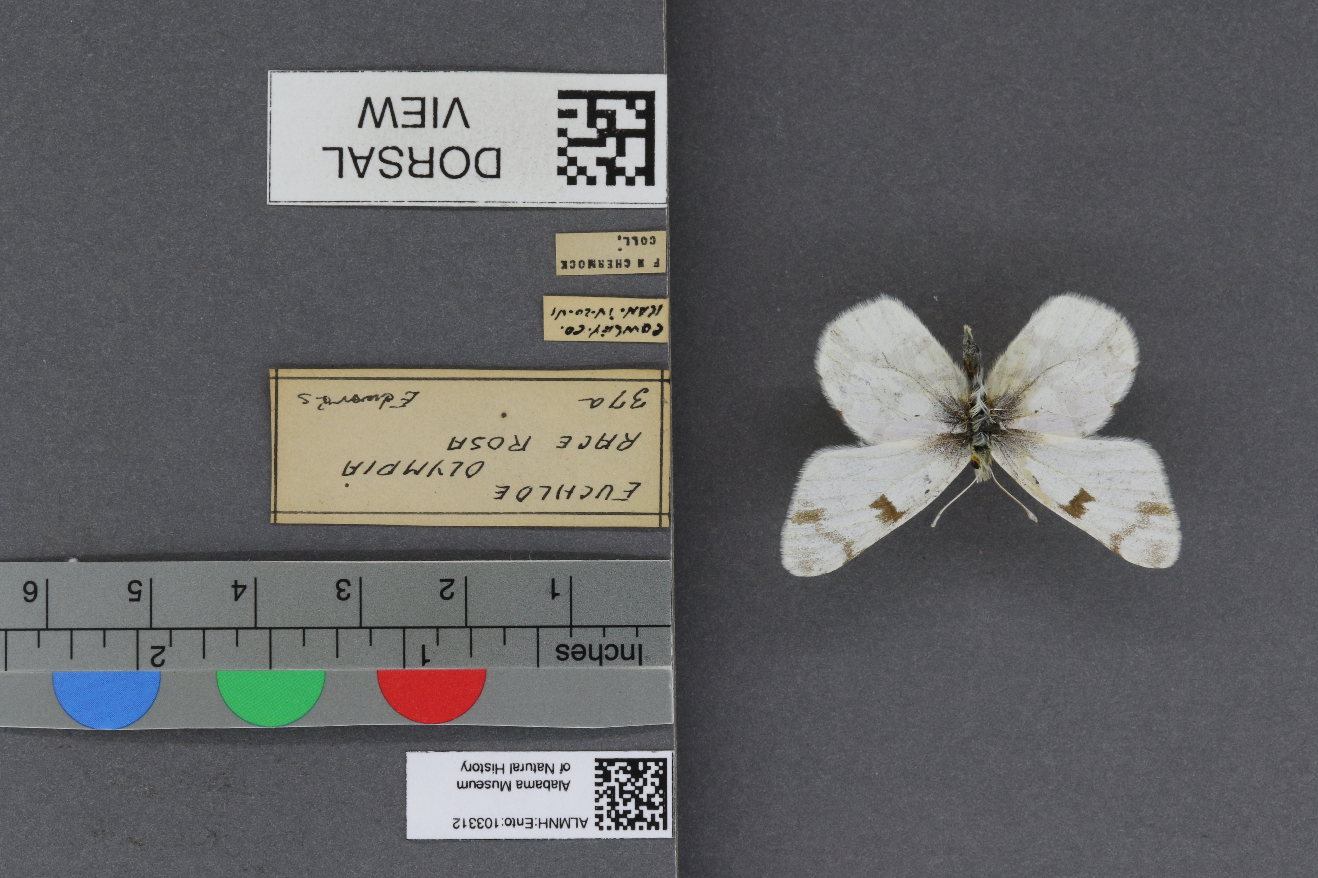 Specimen media
