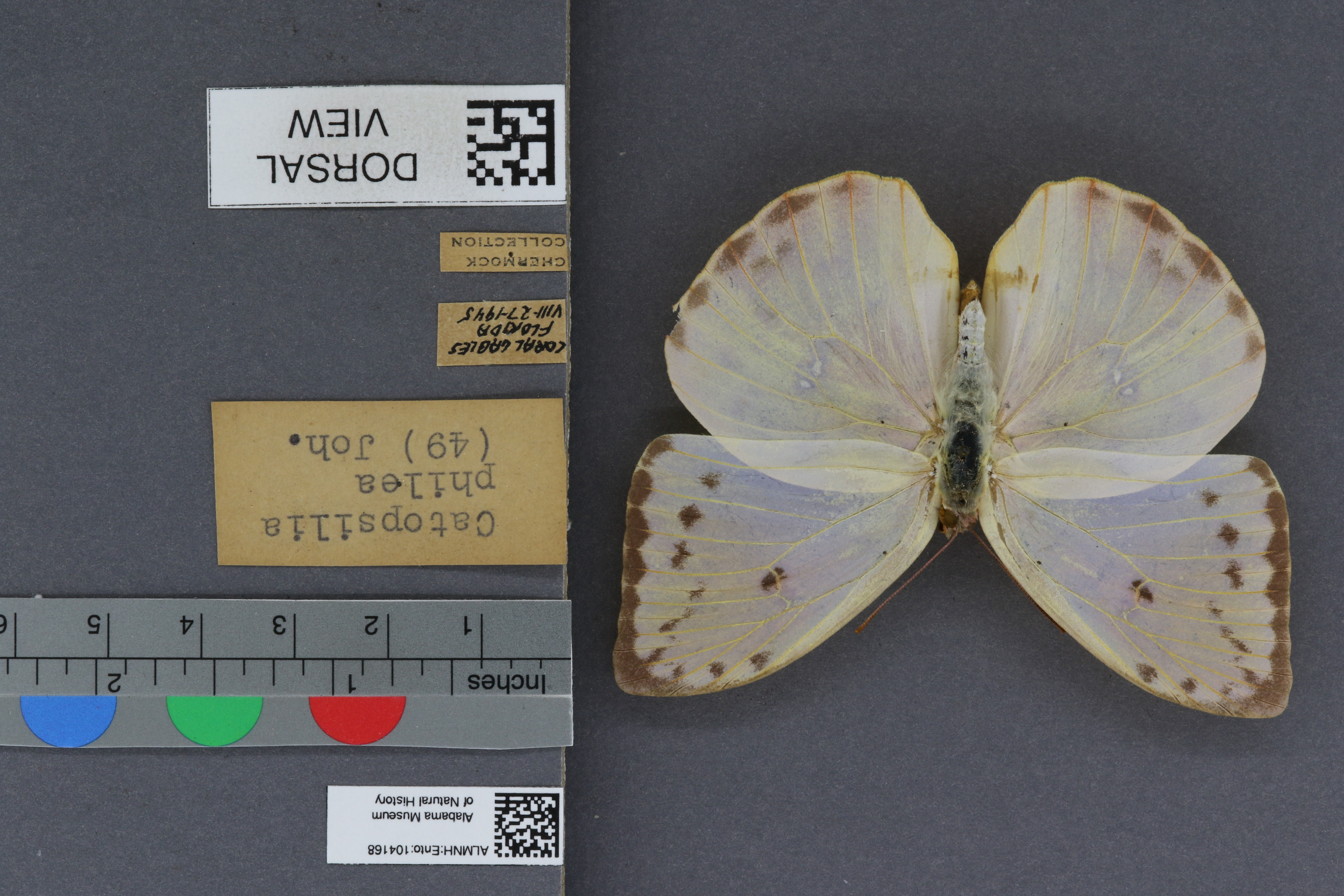Specimen media