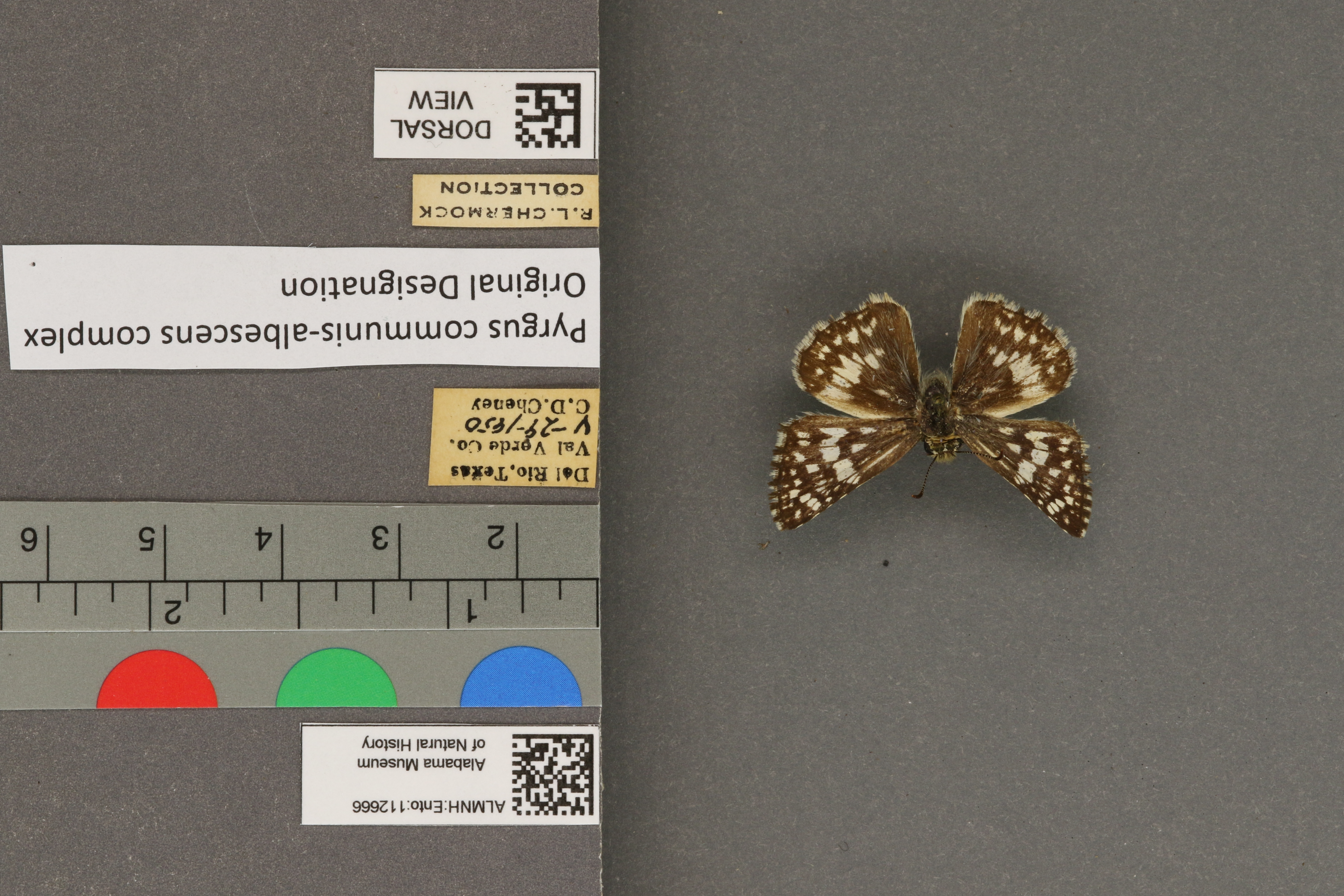 Specimen media