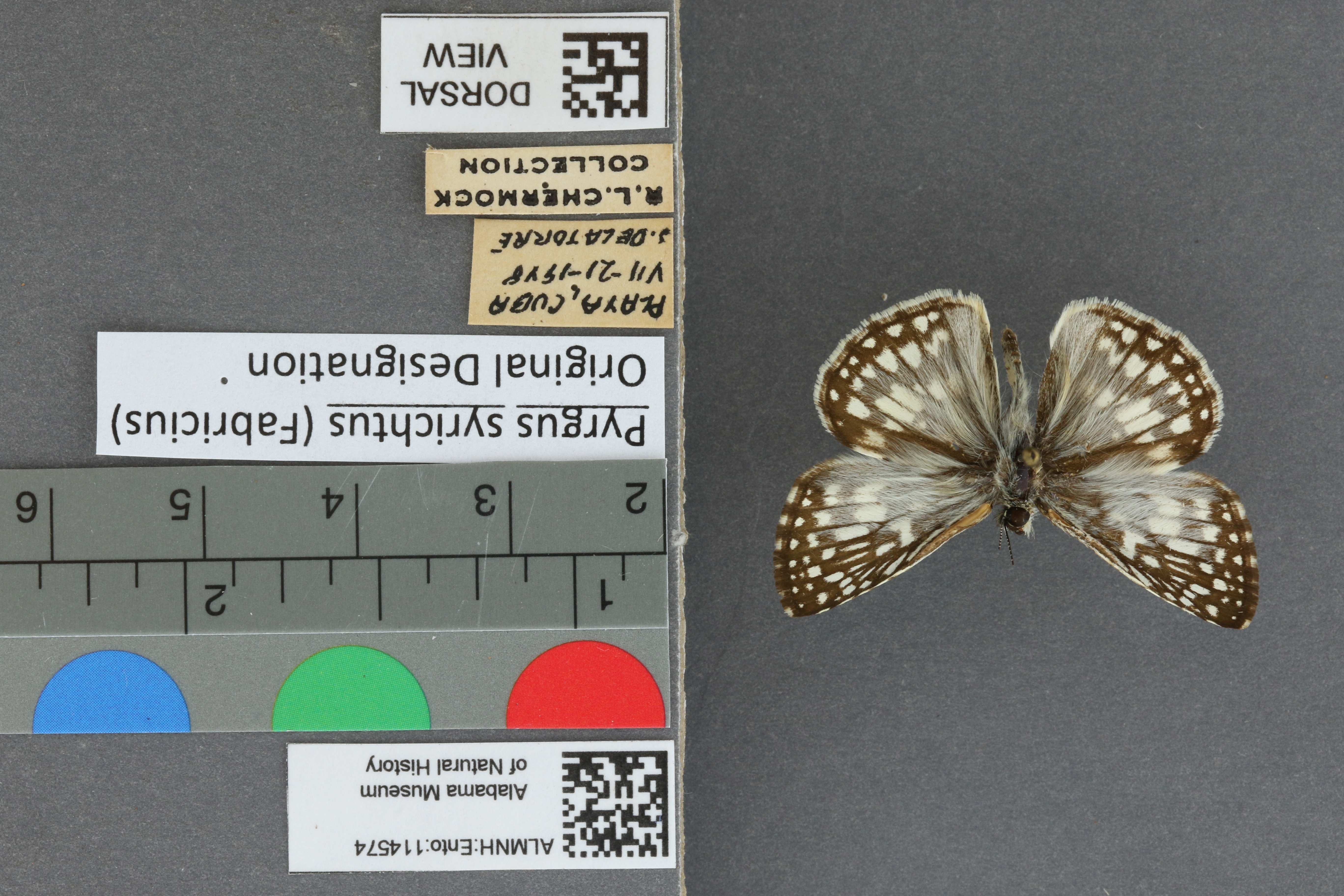 Specimen media