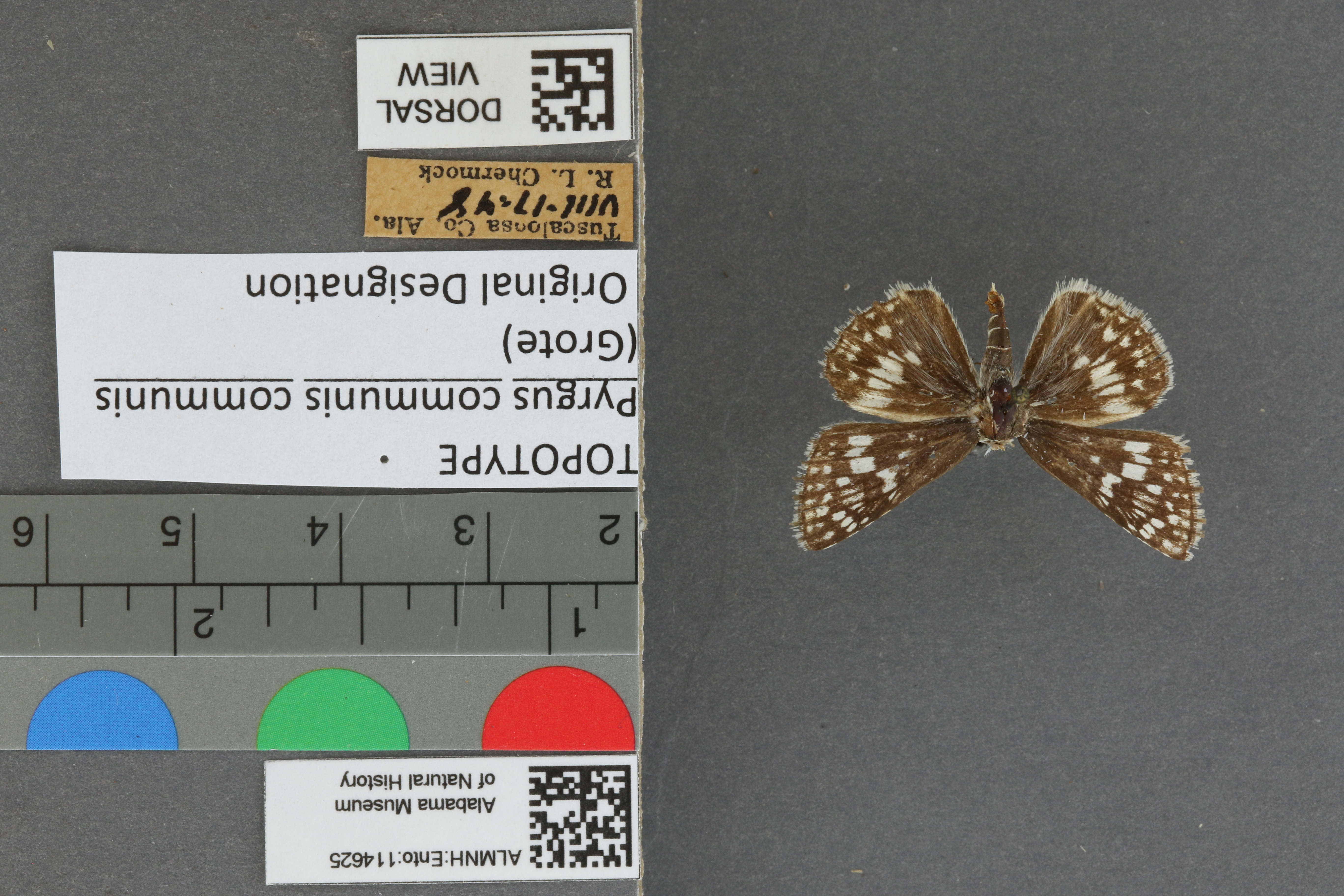 Specimen media