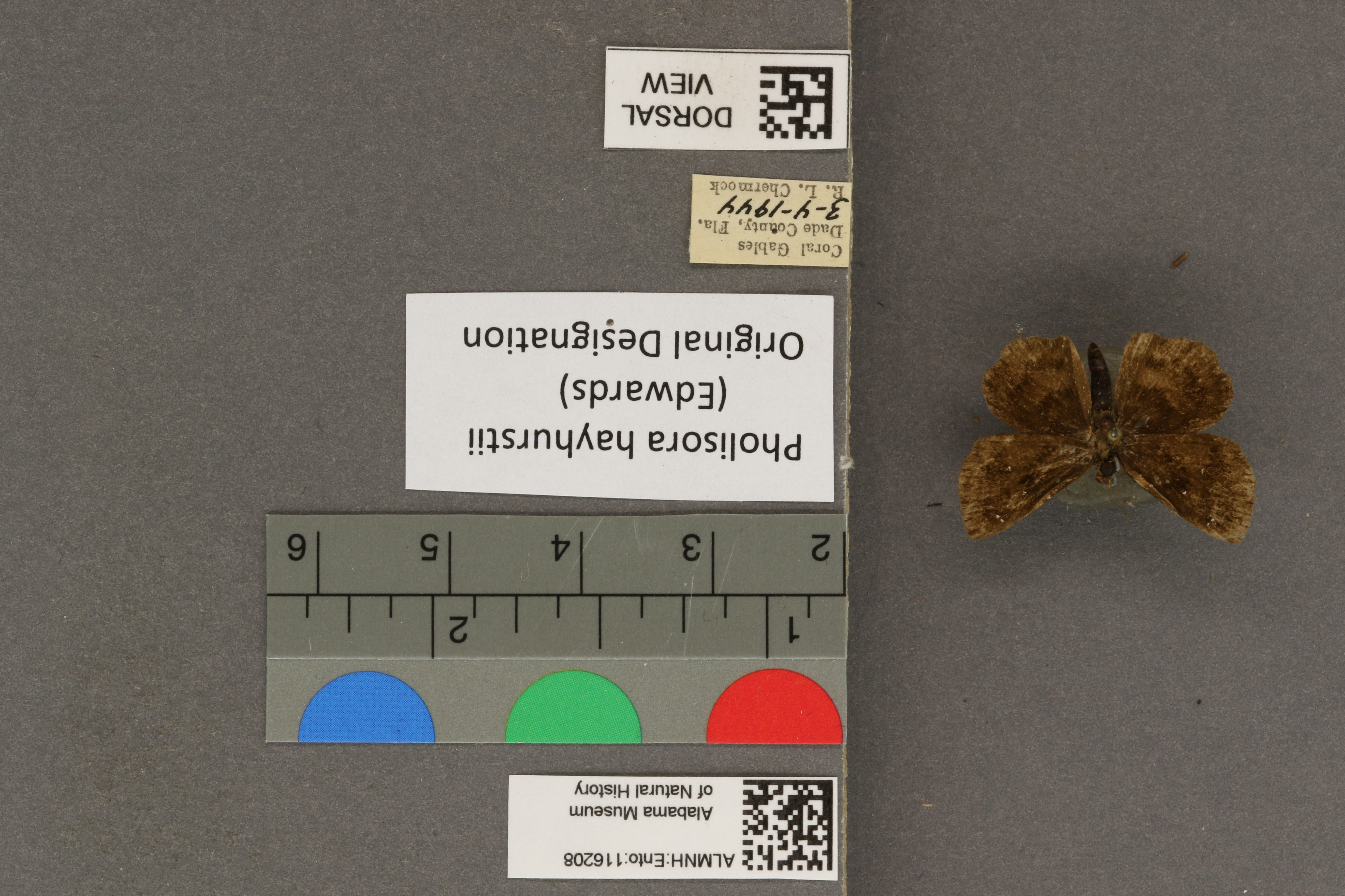 Specimen media