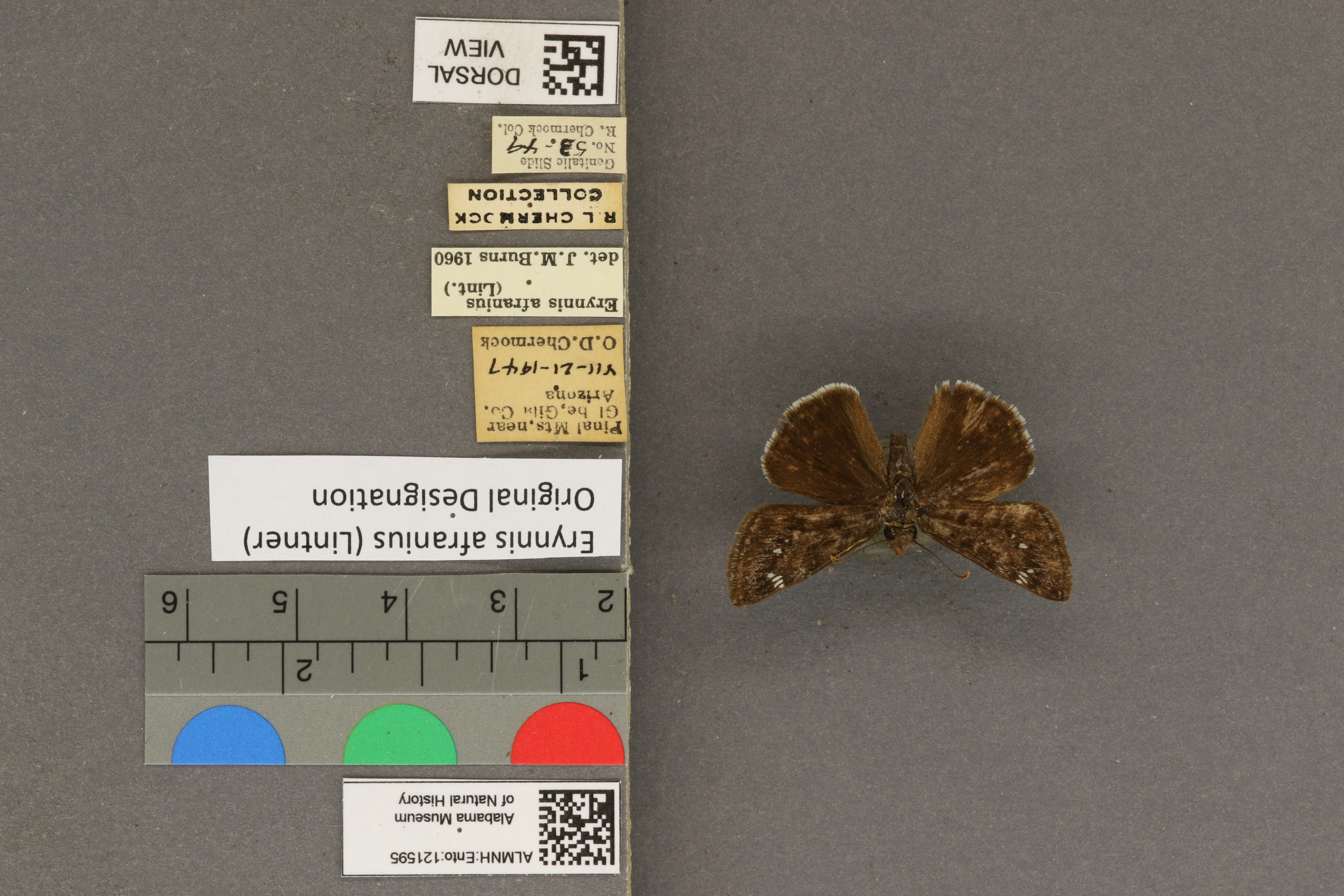 Specimen media