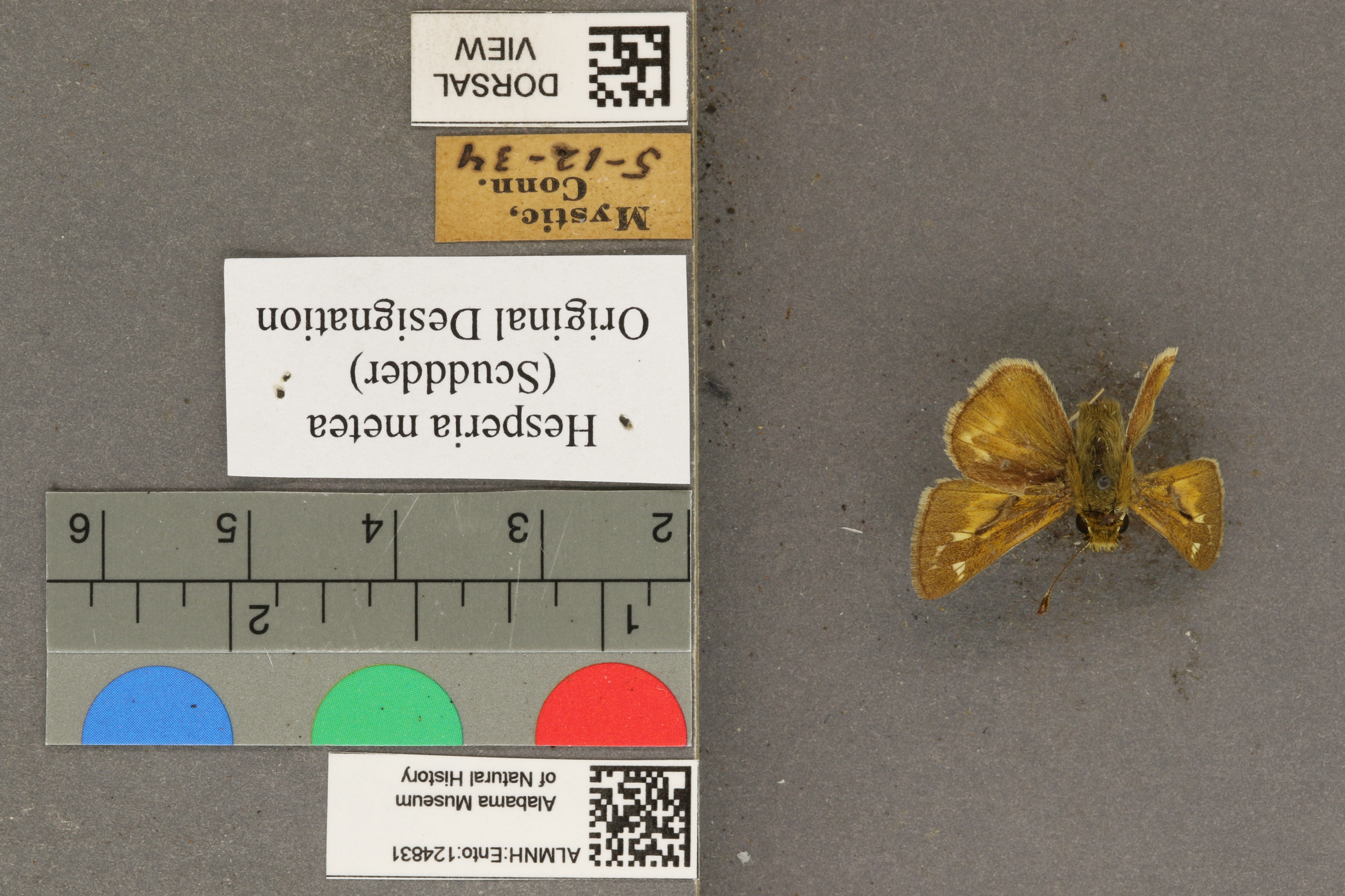 Specimen media