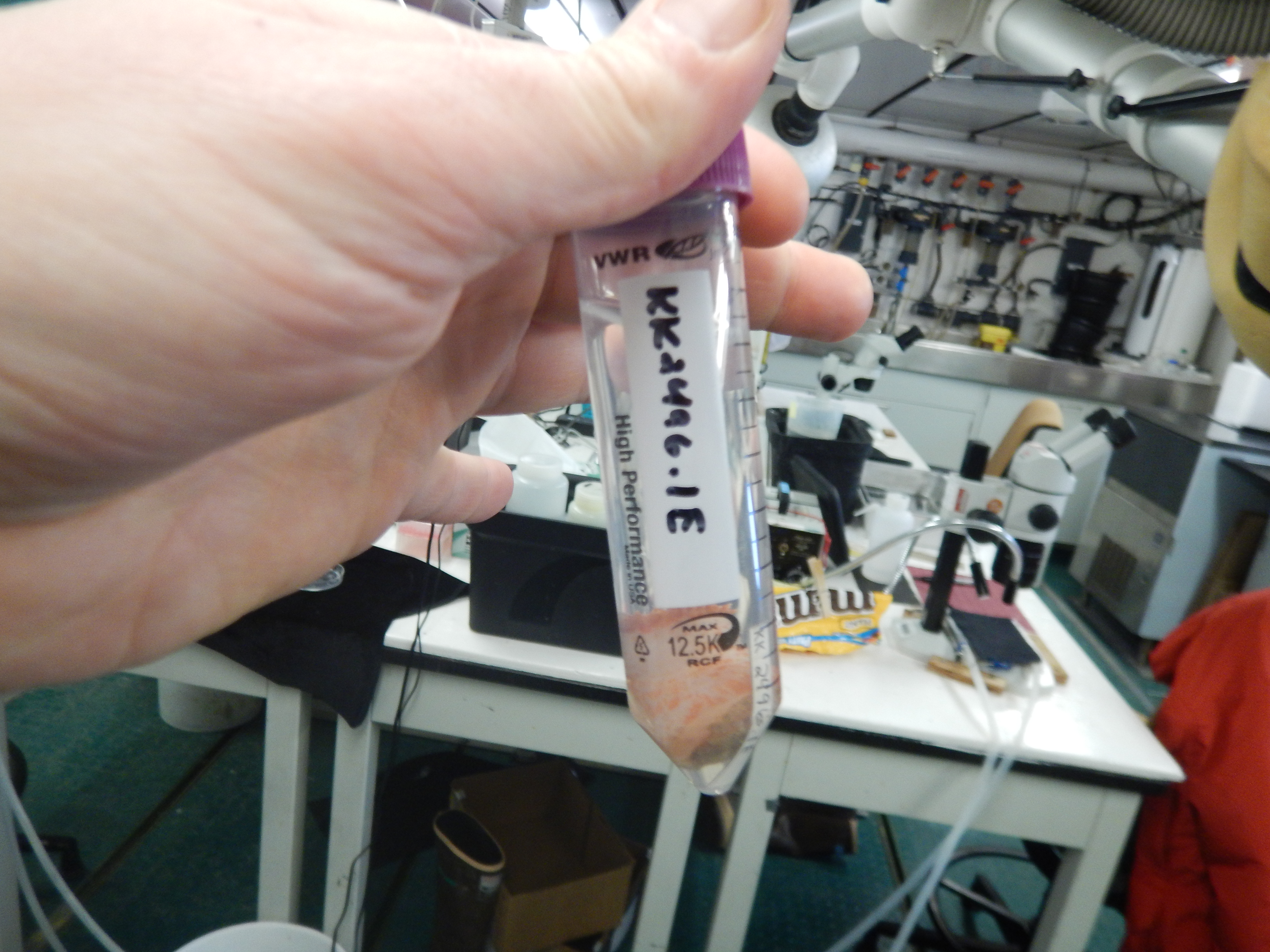 Specimen media