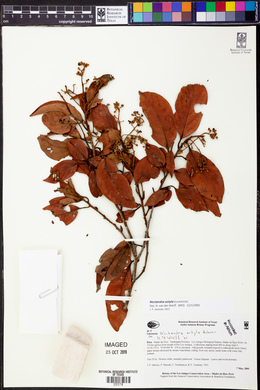 Image Associated With the Occurence
