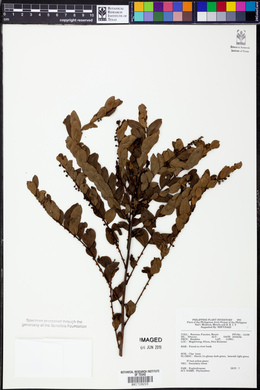 Image Associated With the Occurence