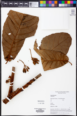 Image Associated With the Occurence