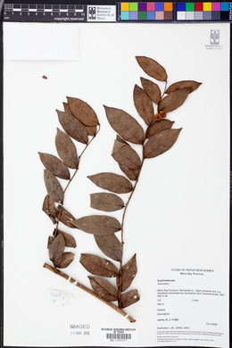 Image Associated With the Occurence