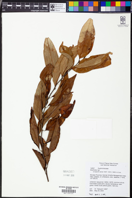 Image Associated With the Occurence