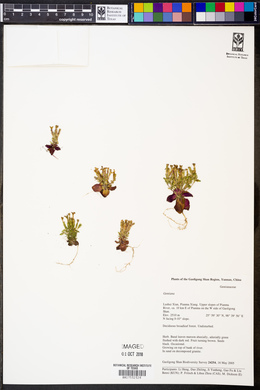 Image Associated With the Occurence