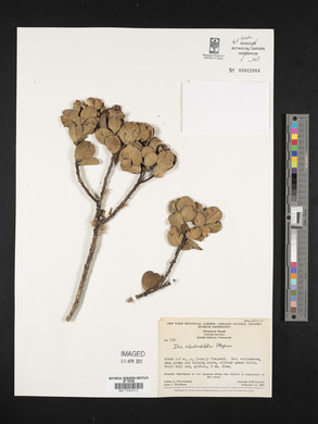 Image Associated With the Occurence